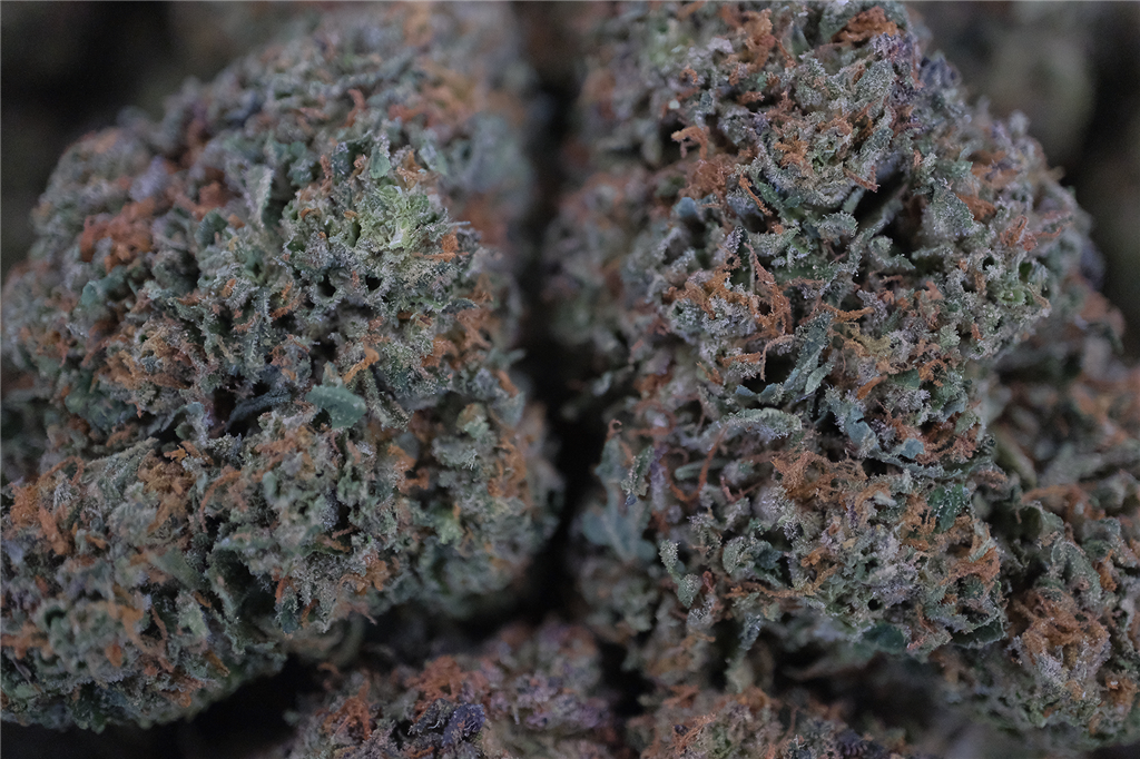 Apples & Bananas 28%